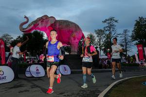 BIB: 
                            <button type="button" onclick="openModal(26529619)" class="btn btn-primary btn-sm float-right btn-popup" data-toggle="modal" data-target=".modal-high-quality">
                        <i class="fas fa-shopping-cart"></i> Add to Cart
                    </button>
                                            <button type="button" onclick="isThisMe(26529619, true)" class="btn btn-success btn-sm float-right btn-popup btn-isme hidden" data-toggle="tooltip" data-placement="bottom" title="นี่คือรูปของคุณใช่ไหม คลิกที่นี่เพื่อเอาเข้าอัลบั้ม">
                        <i class="fas fa-plus"></i> Add to album
                    </button>
                    <button type="button" onclick="isThisMe(26529619, false)" class="btn btn-warning btn-sm float-right btn-popup btn-isnotme hidden">
                        <i class="fas fa-ban"></i> Remove from album
                    </button>